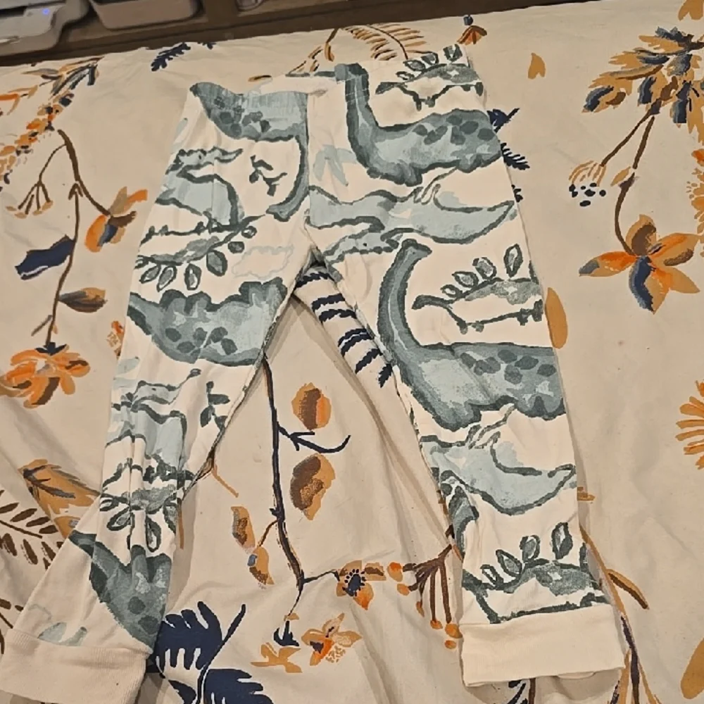 ❤️10/$20 Dinosaur Pajama Pants